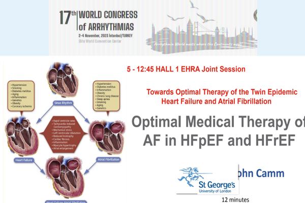 WSA 2023 – Camm sunum kapağı
