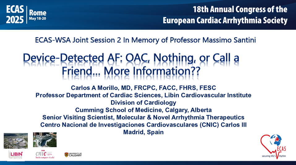 ECAS 2025 – Rome (Santini)